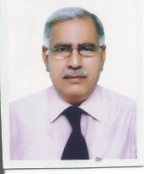 JAMSHAID IQBAL